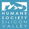 Humane Society Silicon Valley - Animal Community Center image