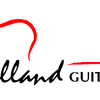Keith Holland Guitars image