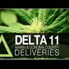 Delta Delivery image