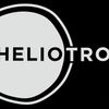 Heliotrope SF image