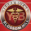 Yerba Buena Collective - Blossom Hill image