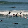 Monterey Bay Surf Lessons image
