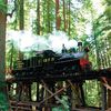 Roaring Camp Railroads image