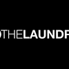 The Laundry image