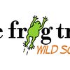 Tree Frog Treks image