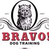 BRAVO!PUP Puppy & Dog Training image