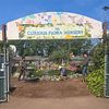Curious Flora Nursery image