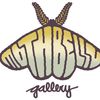 Moth Belly Gallery image