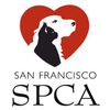 San Francisco SPCA – Mission Campus image