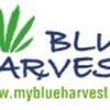 Blue Harvest Collective image
