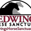 Redwings Horse Sanctuary image