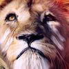 Lion's Heart  image