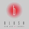 Blush Raw Bar & Lounge image