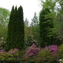 Tour A Scotts Valley Nursery At Bay Laurel In San Francisco Tour A Scotts Valley Nursery