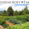 Lindencroft Farm image