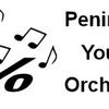 Peninsula Youth Orchestra image