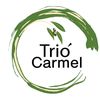 Trio Carmel image