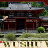 Wushu West Chinese Martial Arts image