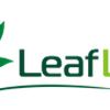 Leaf Lab image