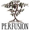 Perfusion Vineyard image