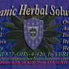 Organic Herbal Solutions image
