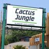 Cactus Jungle Marin image