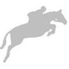 Black Hound Equestrian image