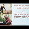 The Breema Center image
